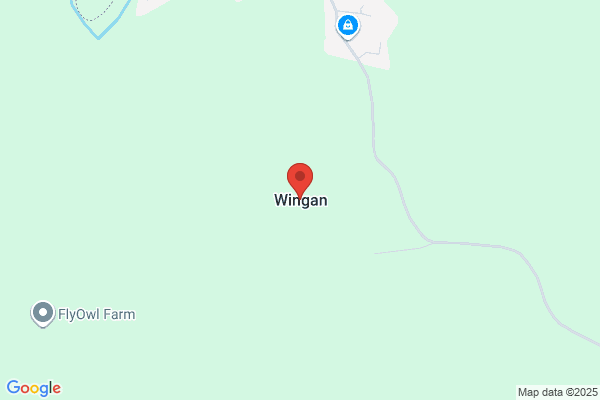 WING富山店