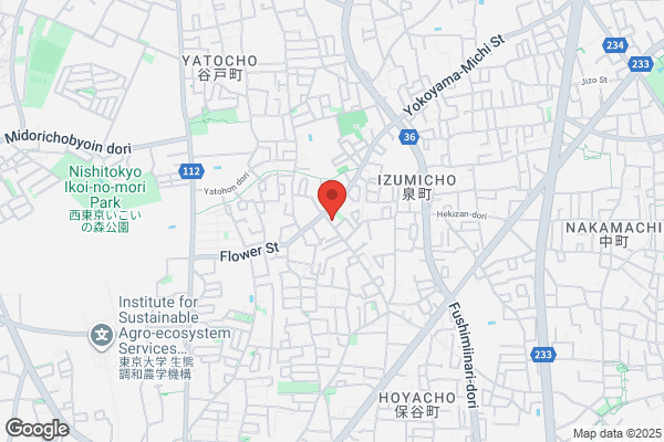 くすりのレデイ 野市店