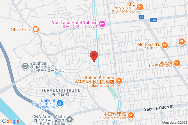 ツルハドラッグ 秋田寺内店