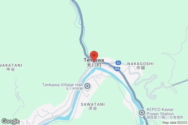 ドミノ・ピザ春日井大留町店