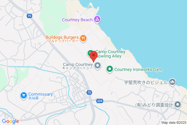 ドミノ・ピザ安慶名店