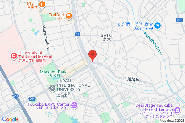 ドミノ・ピザつくば店