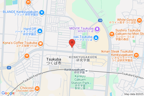 ドミノ・ピザ研究学園店