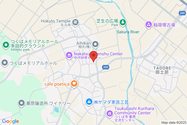 紫流 書道会