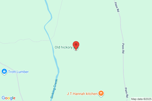 ヤマト運輸 長原営業所（長原）