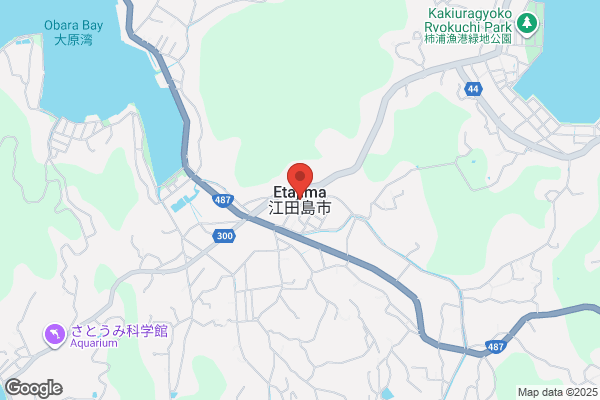 ペッパーランチ 環七西瑞江店