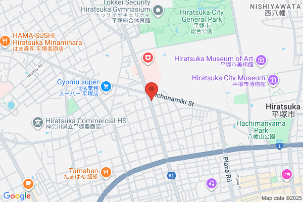 ドミノ・ピザ平塚追分店