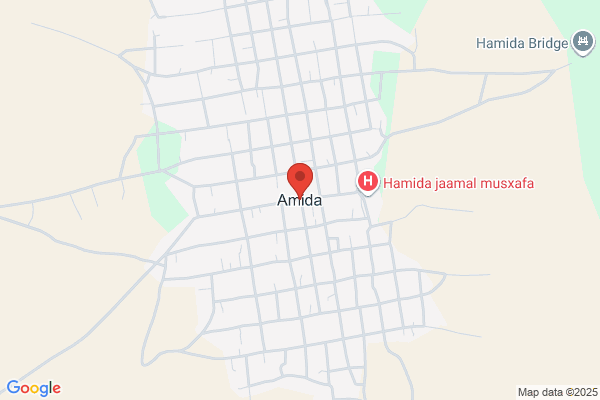 AmiDA