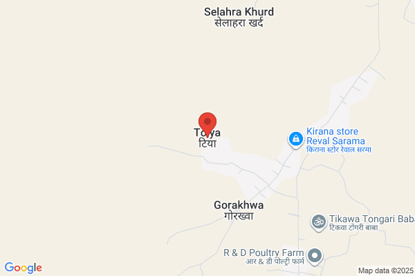 ほけんの窓口 福井大和田店
