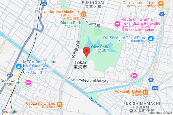 マジックとルービックキューブアートの出張サービス　Cube Artist & Magician　Takamiz Usui