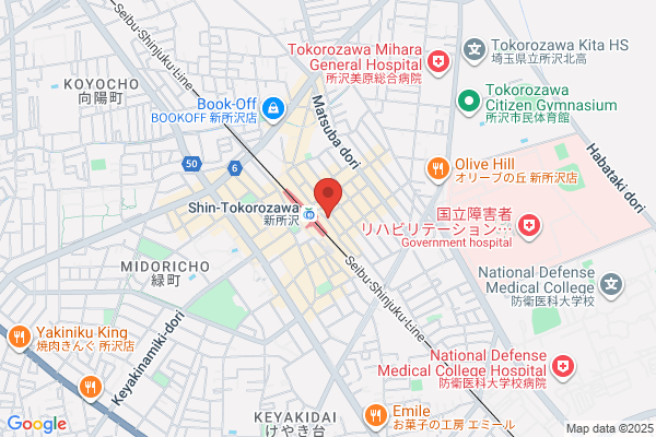 Shintokorozawa Station Hotel