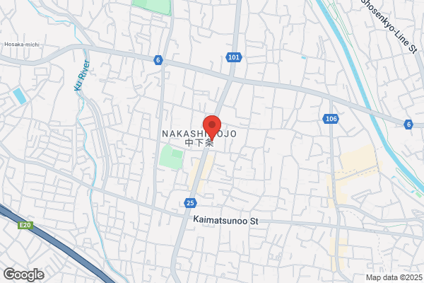 ゲオ敷島店