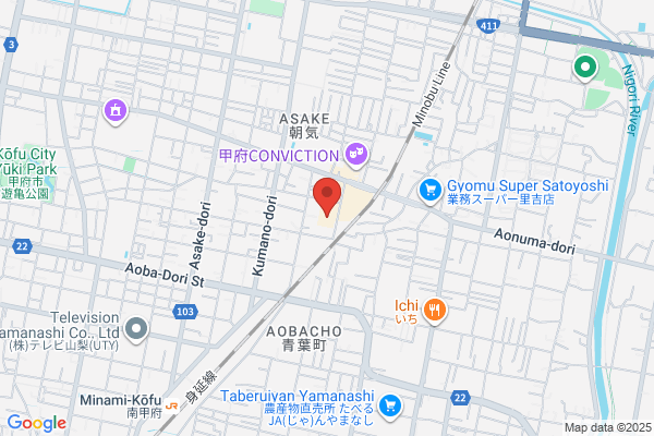 ノジマ 甲府東店