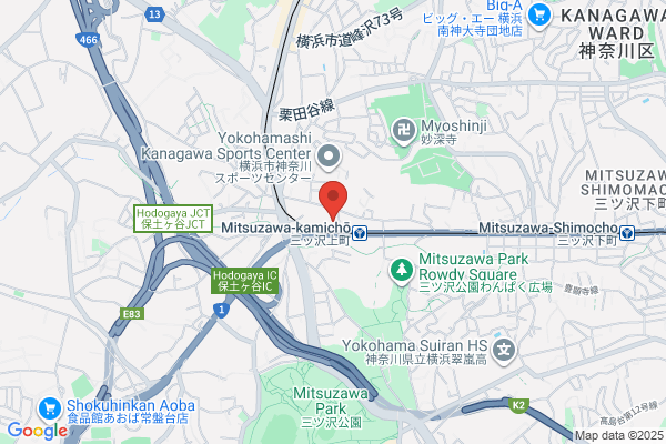 ENEOS Dr.Driveセルフ太田高林店(ENEOSフロンティア)