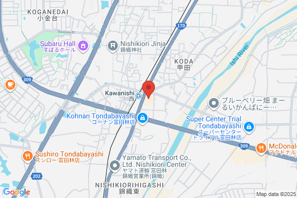 Drug Segami Tondabayashi Br.
