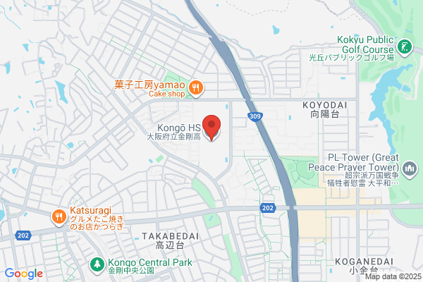 Osaka Kongo Co., Ltd.