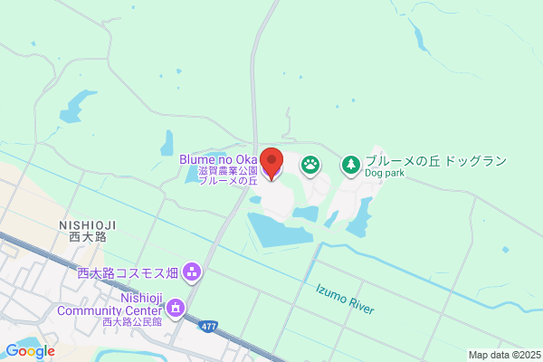 かみしんプラザ AMUSE PARK（アミューズパーク）