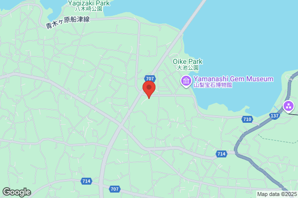 東横INN富山駅新幹線口1