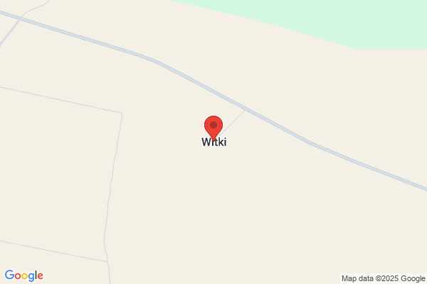 Wit