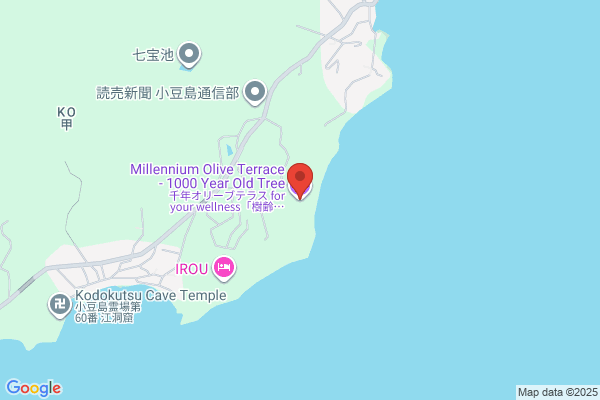 【閉店】千葉 個室ダイニング OLIVE -オリーブ- 千葉駅前店