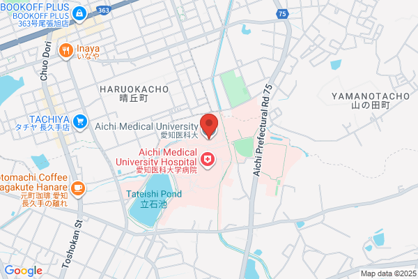 PHỞ VIỆT AICHI