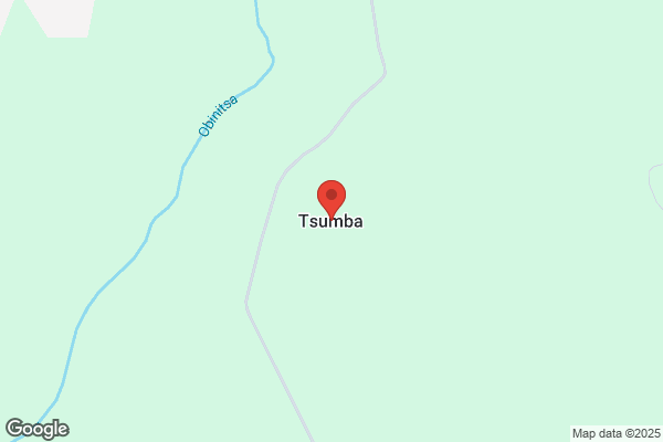 すき家 西都右松店