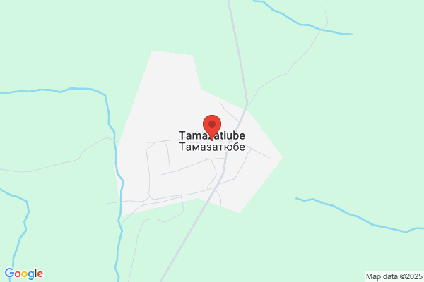 元祖博多蒸し手羽TEBASTA 中洲本店