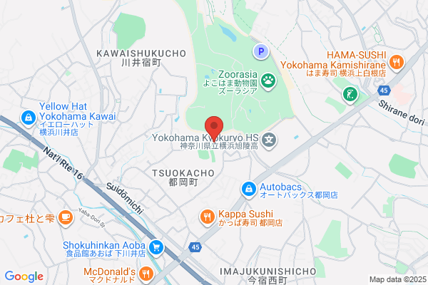 ドミノ・ピザ十日市場店
