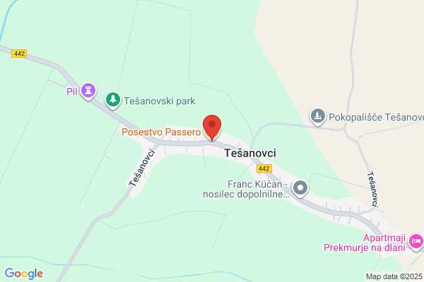 イタリア料理 Passero