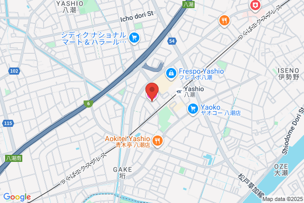 東横INN八潮駅前