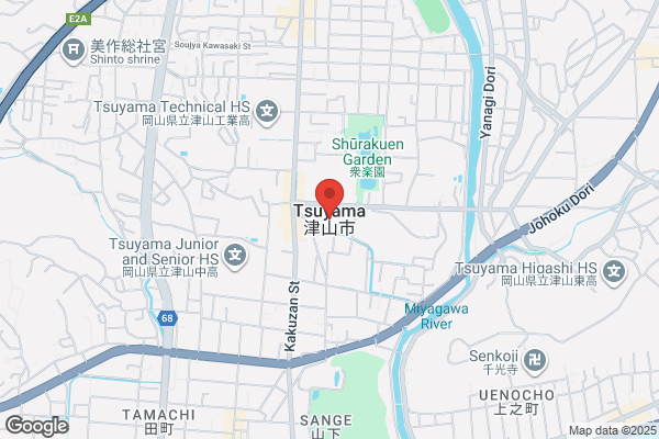ゲオ津山インター店