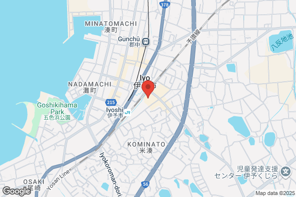 くすりのレデイ フジ伊予店