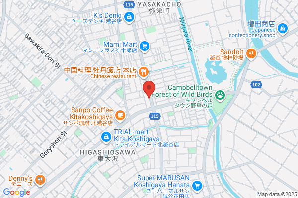 ウエルシア越谷東大沢店 (調剤薬局)