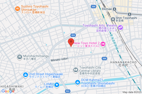 Aoyama Denki