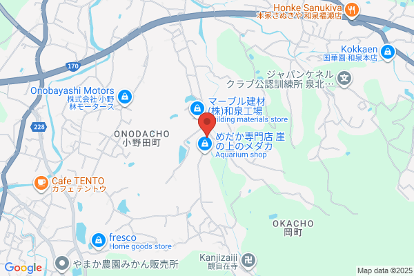 Auto Service Ogawa