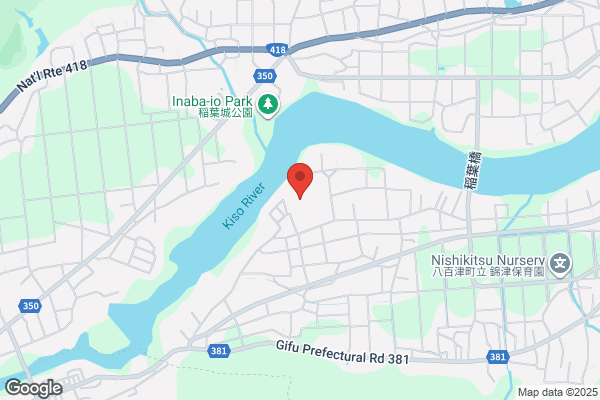 レデイ薬局 大新田
