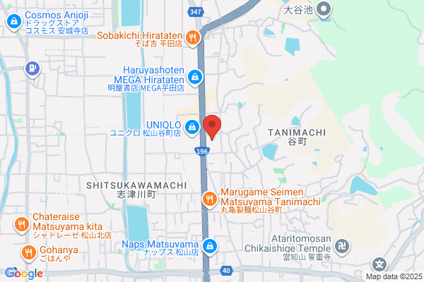 ゲオ松山谷町店