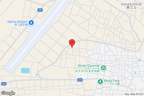 TURTLE タートル