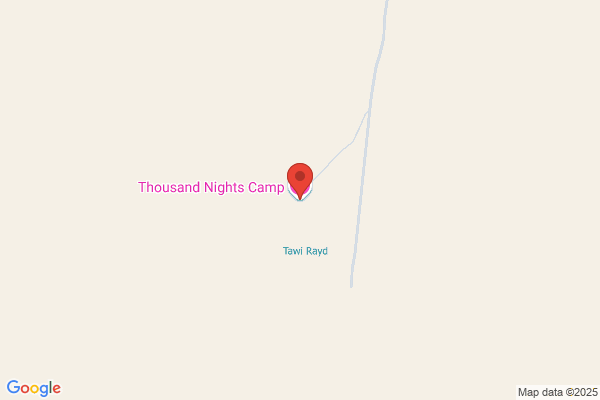 Night Camp（ナイトキャンプ）