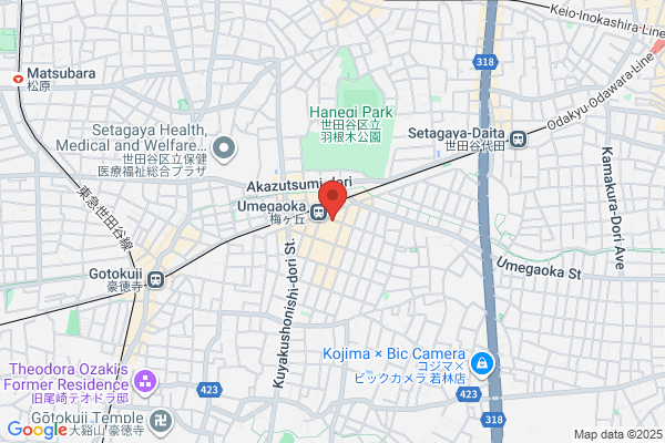 ウエルシア清水村松店