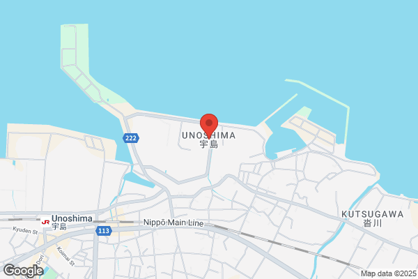 ゲオ宇部工学部通店