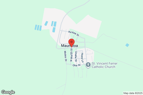 Maunaloa 則武新町店