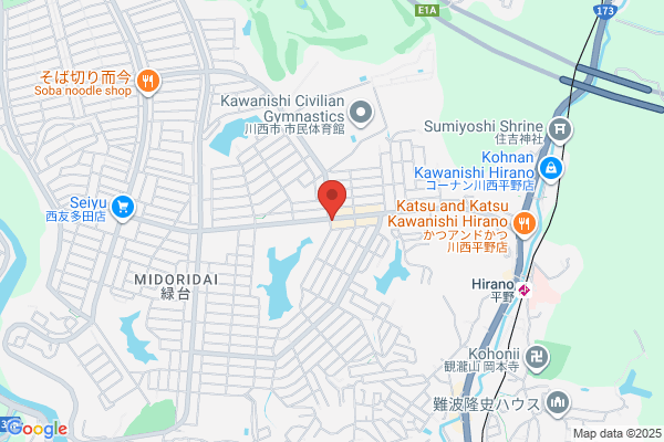 Higuchi Pharmacy Honten