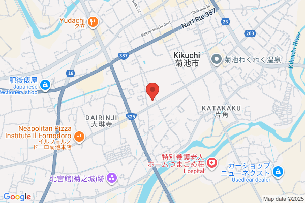 ゲオ菊池店