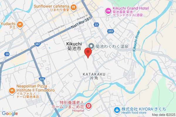 ディスカウントドラッグコスモス 菊池南店