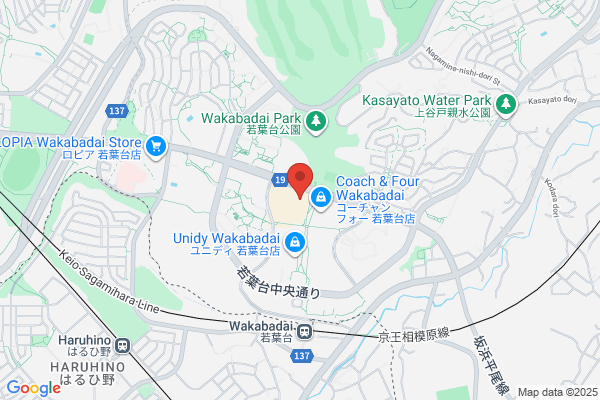 B&Dドラッグストア 一社店