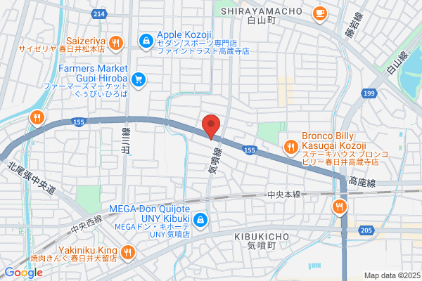 ゲオ高蔵寺店