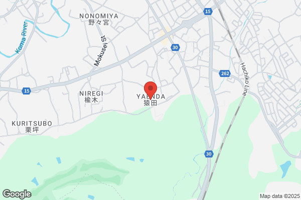 ノジマ 西武飯能ペペ店