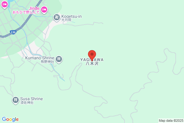 ゴルフパートナー 青梅街道柳沢店