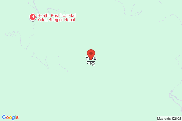 ゲオ熊本室園店